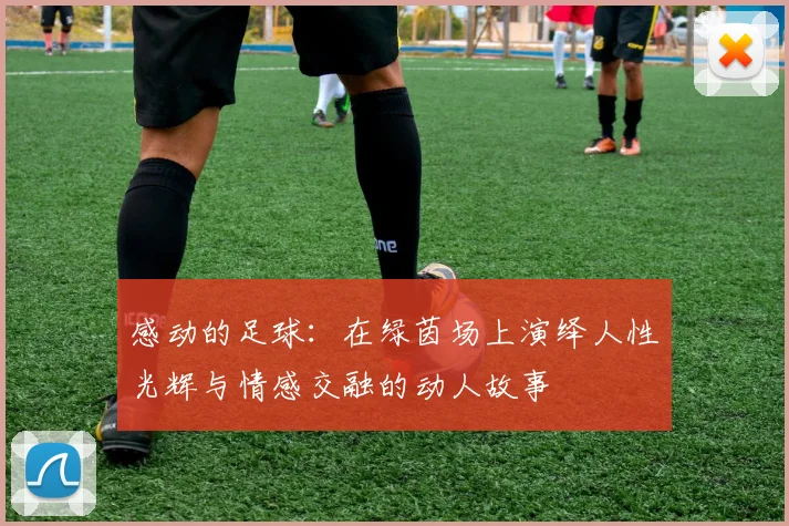 感动的足球：在绿茵场上演绎人性光辉与情感交融的动人故事