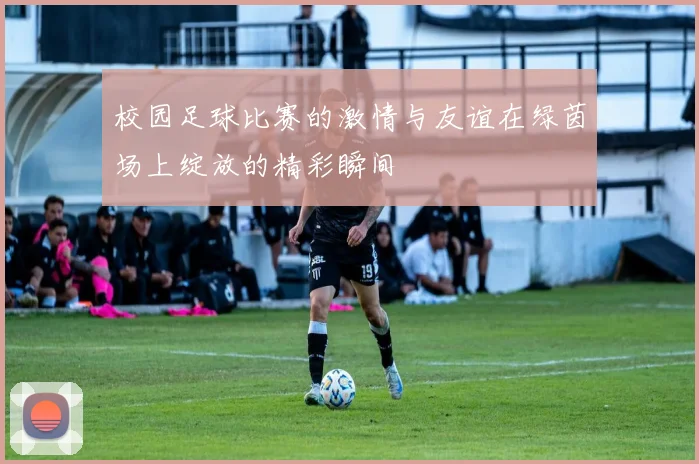 校园足球比赛的激情与友谊在绿茵场上绽放的精彩瞬间